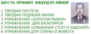 Подушка-валик по системе здоровья Кацудзо Ниши