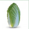 Семена пекинской капусты KS 340 F1 (Китано)