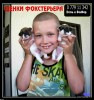 Я - ФОКСТЕРЬЕР маленький шикарный щенок от клубной вязки.